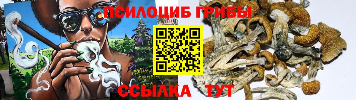 Михайловка  где найти   Вход с VPN  Галлюциногенные грибы мицелий 
